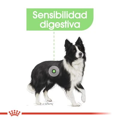 Royal Canin Medium Digestive Care 5 Royal Canin Medium Digestive Care - Imagen 3