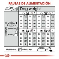 Royal Canin Medium Digestive Care 14 Royal Canin Medium Digestive Care -Mascota Tienda rc ccn digestivemedium cv eretailkit 7 es es 3