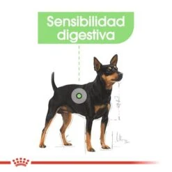 Royal Canin Mini Digestive Care -Mascota Tienda rc ccn digestivemini cv eretailkit 2 es es 8