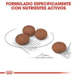 Royal Canin Mini Digestive Care -Mascota Tienda rc ccn digestivemini cv eretailkit 5 es es 7