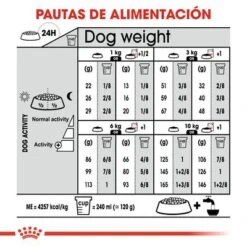 Royal Canin Mini Digestive Care -Mascota Tienda rc ccn digestivemini cv eretailkit 7 es es 6