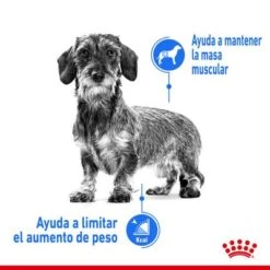 Royal Canin Mini Light Weight Care -Mascota Tienda rc spt dry lightweightmini cv 1 es es 1 6