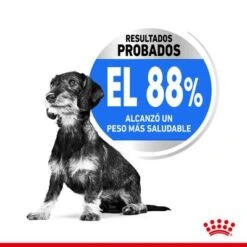 Royal Canin Mini Light Weight Care -Mascota Tienda rc spt dry lightweightmini cv 2 es es 1 4