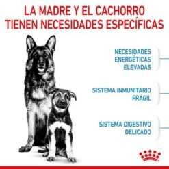 Royal Canin Maxi Starter -Mascota Tienda rc spt dry maxistart cv 2 es es 4