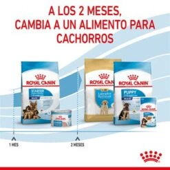 Royal Canin Maxi Starter -Mascota Tienda rc spt dry maxistart cv 5 es es 1