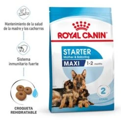 Royal Canin Maxi Starter -Mascota Tienda rc spt dry maxistart mv 1 es es 3