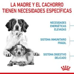 Royal Canin Medium Starter -Mascota Tienda rc spt dry mediumstart cv 2 es es 4