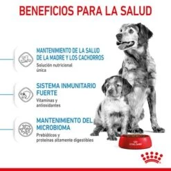 Royal Canin Medium Starter -Mascota Tienda rc spt dry mediumstart cv 3 es es 8