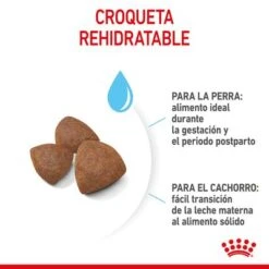 Royal Canin Medium Starter -Mascota Tienda rc spt dry mediumstart cv 4 es es 7