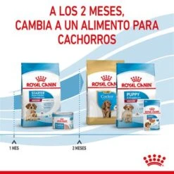 Royal Canin Medium Starter -Mascota Tienda rc spt dry mediumstart cv 5 es es 6
