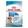 Royal Canin Medium Starter 2 Royal Canin Medium Starter -Mascota Tienda rc spt dry mediumstart mv 2 es es 9
