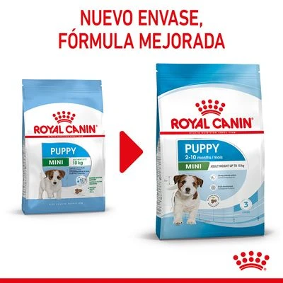Royal Canin Mini Puppy / Junior 5 Royal Canin Mini Puppy / Junior - Imagen 3