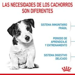 Royal Canin Mini Puppy / Junior 18 Royal Canin Mini Puppy / Junior -Mascota Tienda rc spt dry minipuppy cv 2 es es 8