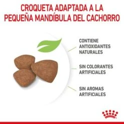 Royal Canin Mini Puppy / Junior 20 Royal Canin Mini Puppy / Junior -Mascota Tienda rc spt dry minipuppy cv 4 es es 1