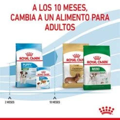 Royal Canin Mini Puppy / Junior 25 Royal Canin Mini Puppy / Junior -Mascota Tienda rc spt dry minipuppy cv 5 es es 3