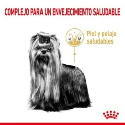 Royal Canin Yorkshire Terrier Adult 8+ -Mascota Tienda rc spt dry york8 cv 1 es es 9