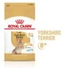 Royal Canin Yorkshire Terrier Adult 8+ 2 Royal Canin Yorkshire Terrier Adult 8+ -Mascota Tienda rc spt dry york8 mv 1 de de 7