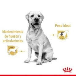 Royal Canin Breed Labrador Retriever En Salsa 10 Royal Canin Breed Labrador Retriever En Salsa -Mascota Tienda rc spt wet labad cv 1 es es 2