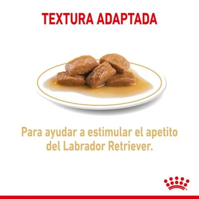 Royal Canin Breed Labrador Retriever En Salsa 6 Royal Canin Breed Labrador Retriever En Salsa - Imagen 4
