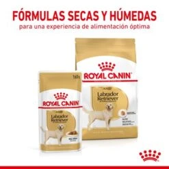 Royal Canin Breed Labrador Retriever En Salsa 12 Royal Canin Breed Labrador Retriever En Salsa -Mascota Tienda rc spt wet labad cv 3 es es 2