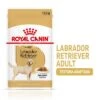 Royal Canin Breed Labrador Retriever En Salsa -Mascota Tienda rc spt wet labad mv 1 es es 7