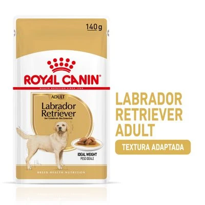 Royal Canin Breed Labrador Retriever En Salsa 3 Royal Canin Breed Labrador Retriever En Salsa