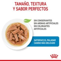 Royal Canin Maxi Puppy En Salsa Para Perros -Mascota Tienda rc spt wet maxipuppy cv 2 es es 1