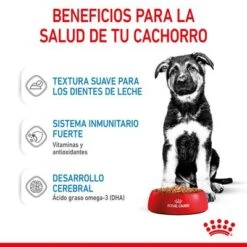 Royal Canin Maxi Puppy En Salsa Para Perros -Mascota Tienda rc spt wet maxipuppy cv 3 es es 8