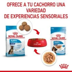 Royal Canin Maxi Puppy En Salsa Para Perros -Mascota Tienda rc spt wet maxipuppy cv 4 es es 7