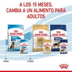 Royal Canin Maxi Puppy En Salsa Para Perros -Mascota Tienda rc spt wet maxipuppy cv 8 es es 9