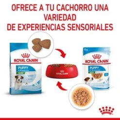 Royal Canin Mini Puppy En Salsa Para Perros -Mascota Tienda rc spt wet minipuppy cv 4 es es 7