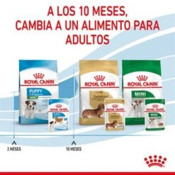 Royal Canin Mini Puppy En Salsa Para Perros -Mascota Tienda rc spt wet minipuppy cv 8 es es 5