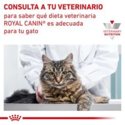 Royal Canin Veterinary Canine Recovery Mousse Perros Y Gatos 13 Royal Canin Veterinary Canine Recovery Mousse Perros Y Gatos -Mascota Tienda rc vet dry catgastro cv eretailkit 9 es es 7