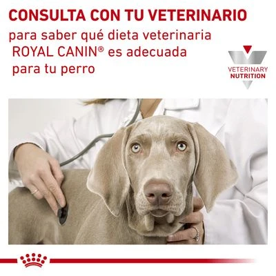 Royal Canin Veterinary Canine Anallergenic Pienso Para Perros 8 Royal Canin Veterinary Canine Anallergenic Pienso Para Perros - Imagen 6