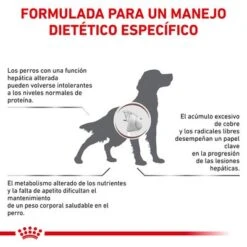 Royal Canin Veterinary Canine Hepatic HF 16 Pienso Para Perros -Mascota Tienda rc vet dry doggastrohep cv eretailkit 2 es es 7