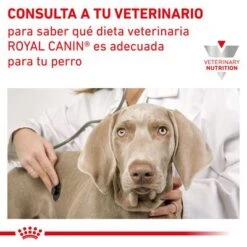 Royal Canin Veterinary Canine Hepatic HF 16 Pienso Para Perros -Mascota Tienda rc vet dry doggastrohep cv eretailkit 9 es es 7