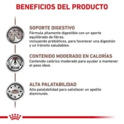 Royal Canin Veterinary Canine Gastro Intestinal Moderate Calorie -Mascota Tienda rc vet dry doggastromc cv eretailkit 4 es es 0