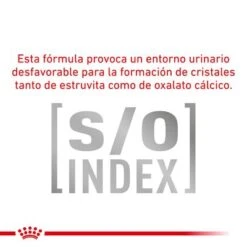 Royal Canin Veterinary Canine Diabetic Special Low Carb Mousse -Mascota Tienda rc vet wet dogdiabeticsplc410g cv eretailkit 3 es es 9