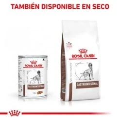 Royal Canin Veterinary Canine Gastrointestinal Mousse -Mascota Tienda rc vet wet doggastro400g cv eretailkit 6 es es 4
