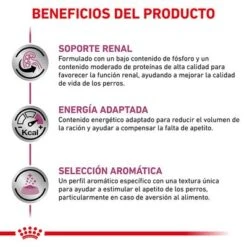 Royal Canin Veterinary Canine Renal Special Mousse -Mascota Tienda rc vet wet dogrenalspeloaf410 cv eretailkit 2 es es 6