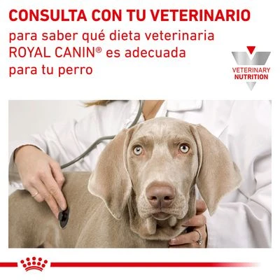Royal Canin Veterinary Canine Urinary S/O En Salsa 8 Royal Canin Veterinary Canine Urinary S/O En Salsa - Imagen 6