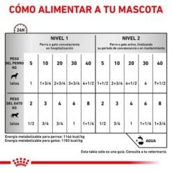 Royal Canin Veterinary Canine Recovery Mousse Perros Y Gatos 10 Royal Canin Veterinary Canine Recovery Mousse Perros Y Gatos -Mascota Tienda rc vet wet mixrecov200g cv eretailkit 4 es es 3
