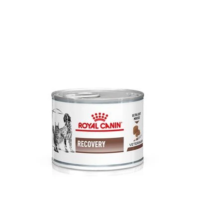 Royal Canin Veterinary Canine Recovery Mousse Perros Y Gatos 3 Royal Canin Veterinary Canine Recovery Mousse Perros Y Gatos