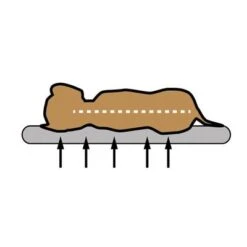 Cojín Ortopédico Pawz & Pepper Denver -Mascota Tienda skizze memory foam 1