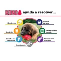 KONG Extreme Juguete Negro Para Perros -Mascota Tienda solutions es 4