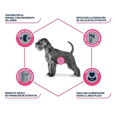 Advance Urinary Veterinary Diets Pienso Para Perros 8 Advance Urinary Veterinary Diets Pienso Para Perros - Imagen 6