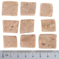 Pack Ahorro 4 X Wolf Of Wilderness RAW Snacks Liofilizados Premium -Mascota Tienda wow fd snack blue river cubes with ruler 4 1