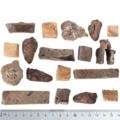 Calendario De Adviento 2023 Para Perros De Wolf Of Wilderness Sin Cereales -Mascota Tienda wow raw mixed fg 5427 2 1