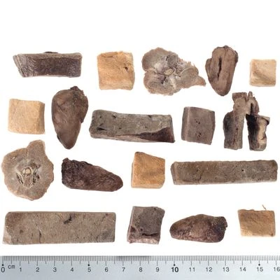 Wolf Of Wilderness RAW 5 Snacks Liofilizados - 5 Sabores 4 Wolf Of Wilderness RAW 5 Snacks Liofilizados - 5 Sabores - Imagen 2