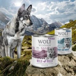 Wolf Of Wilderness Free Range Junior 6 X 800 G -Mascota Tienda zop 21 048 wow nafu junior 800g 400g mood 7
